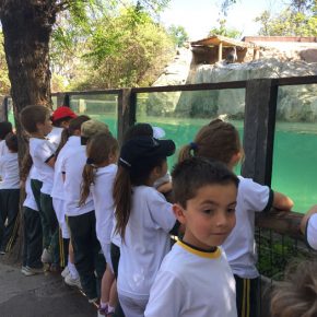 Visita de 2nd grade a Zoologico Metropolitano