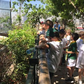 Visita de 2nd grade a Zoologico Metropolitano
