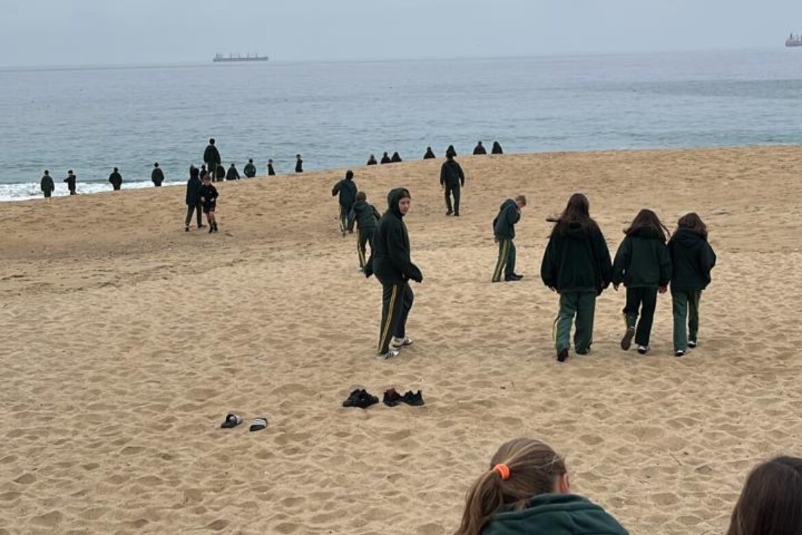 Viña Tour 2025