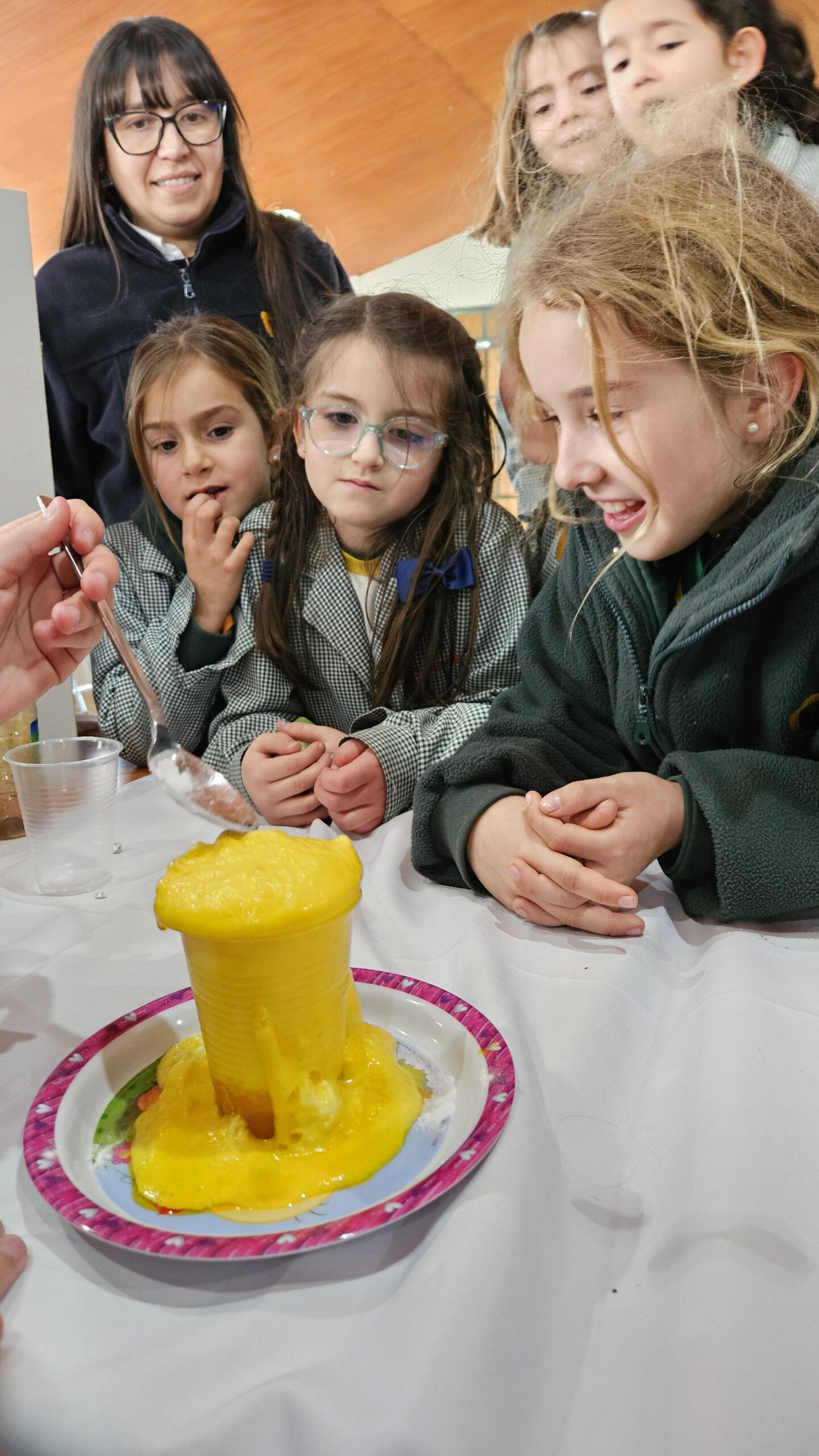 Science Fair