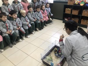 IMG_0095