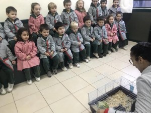 IMG_0096