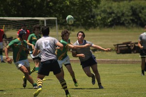 IMG_3220