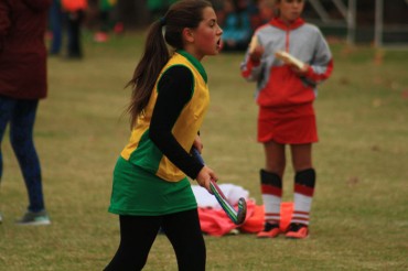 1st to 6th Grade: Rugby & Hockey Festival
