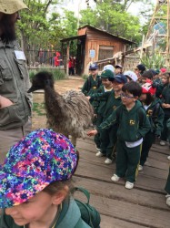 Visita al Buin Zoo, Kinder (19, Oct)