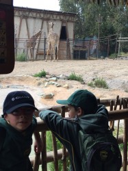 Visita al Buin Zoo, Kinder (19, Oct)
