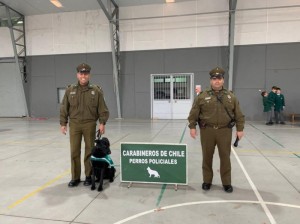 Visita Carabineros de Chile - perros policiales 2023