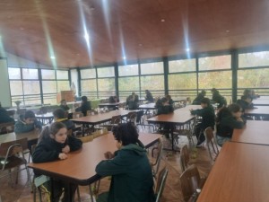 WhatsApp Image 2024-05-13 at 10.30.42 (1)