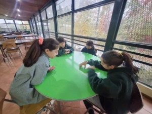 WhatsApp Image 2024-05-13 at 10.34.10