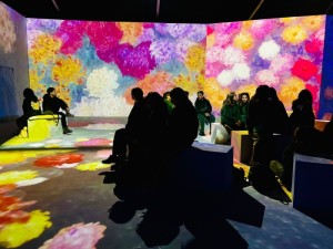 WhatsApp Image 2024-06-03 at 17.55.35 (2)