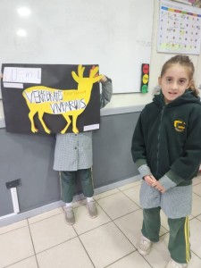 WhatsApp Image 2024-06-06 at 18.52.41 (1)