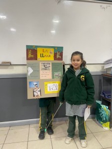 WhatsApp Image 2024-06-06 at 18.54.47 (2)