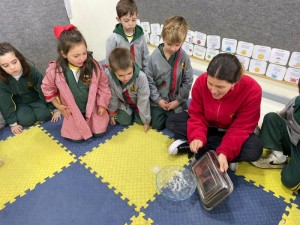 WhatsApp Image 2024-07-26 at 13.48.26