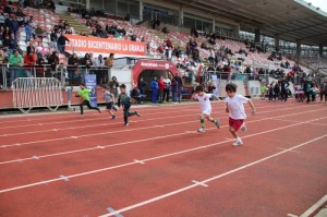 WhatsApp Image 2024-08-12 at 16.49.17 (1)