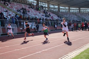 WhatsApp Image 2024-08-12 at 20.02.25 (1)