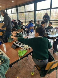 WhatsApp Image 2024-08-23 at 09.57.46