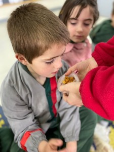 WhatsApp Image 2024-08-23 at 10.02.34 (1)