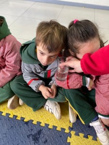 WhatsApp Image 2024-08-23 at 10.02.36 (1)