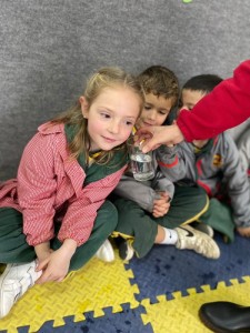 WhatsApp Image 2024-08-23 at 10.02.36