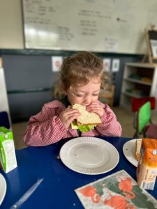 WhatsApp Image 2024-08-23 at 11.59.56 (2)