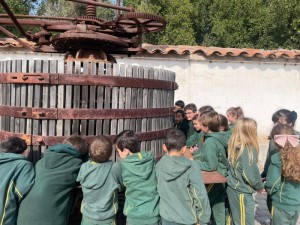 WhatsApp Image 2024-08-28 at 13.27.06