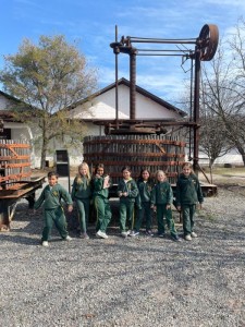 WhatsApp Image 2024-08-28 at 13.27.07 (1)