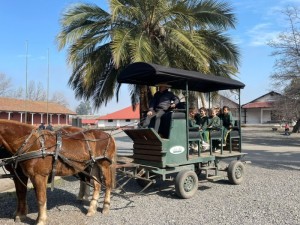 WhatsApp Image 2024-08-28 at 13.27.07