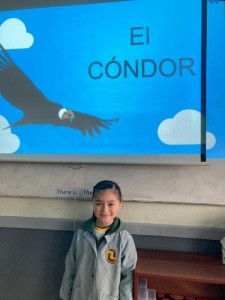 WhatsApp Image 2024-08-29 at 11.43.15 (1)