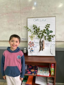 WhatsApp Image 2024-08-29 at 11.43.15 (2)