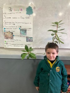 WhatsApp Image 2024-08-29 at 11.43.17 (2)