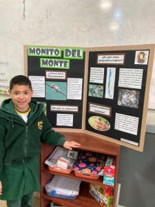 WhatsApp Image 2024-08-29 at 11.43.17