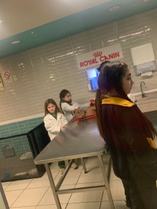 WhatsApp Image 2024-09-04 at 14.24.11