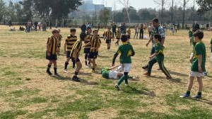 WhatsApp Image 2024-09-09 at 10.52.18 (1)