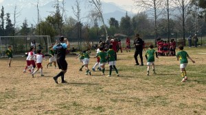 WhatsApp Image 2024-09-09 at 10.52.18 (2)