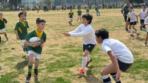 WhatsApp Image 2024-09-09 at 10.52.19 (1)