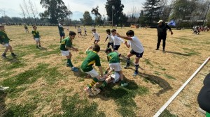 WhatsApp Image 2024-09-09 at 10.52.19 (2)