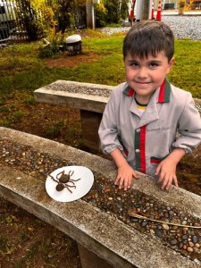 WhatsApp Image 2024-10-10 at 15.20.01