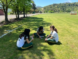 WhatsApp Image 2024-10-24 at 15.44.28