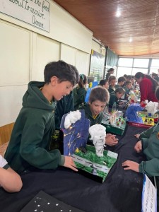 WhatsApp Image 2024-10-30 at 10.20.56