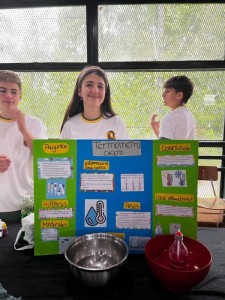 WhatsApp Image 2024-10-30 at 10.22.15 (1)