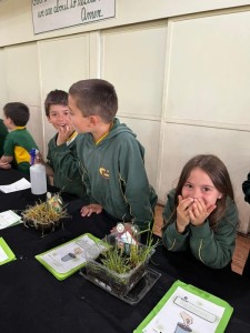 WhatsApp Image 2024-10-30 at 10.22.16 (4)