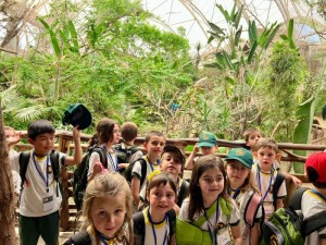 Kinder en su salida al Buin Zoo - 2024