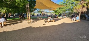 WhatsApp Image 2024-11-18 at 14.54.09