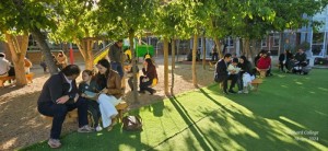 WhatsApp Image 2024-11-18 at 14.54.12 (3)