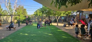 WhatsApp Image 2024-11-18 at 14.54.13