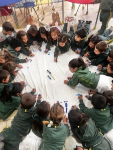 WhatsApp Image 2024-11-19 at 17.30.26