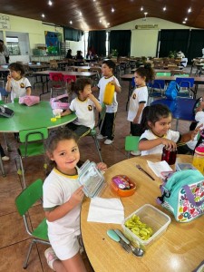 WhatsApp Image 2025-03-10 at 13.29.12