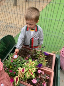 WhatsApp Image 2025-03-21 at 15.35.54 (3)