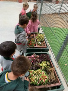 WhatsApp Image 2025-03-21 at 15.35.55 (1)