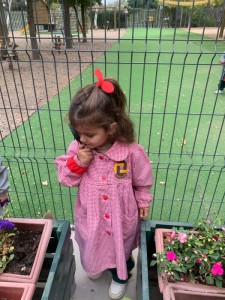 WhatsApp Image 2025-03-21 at 15.35.55 (2)